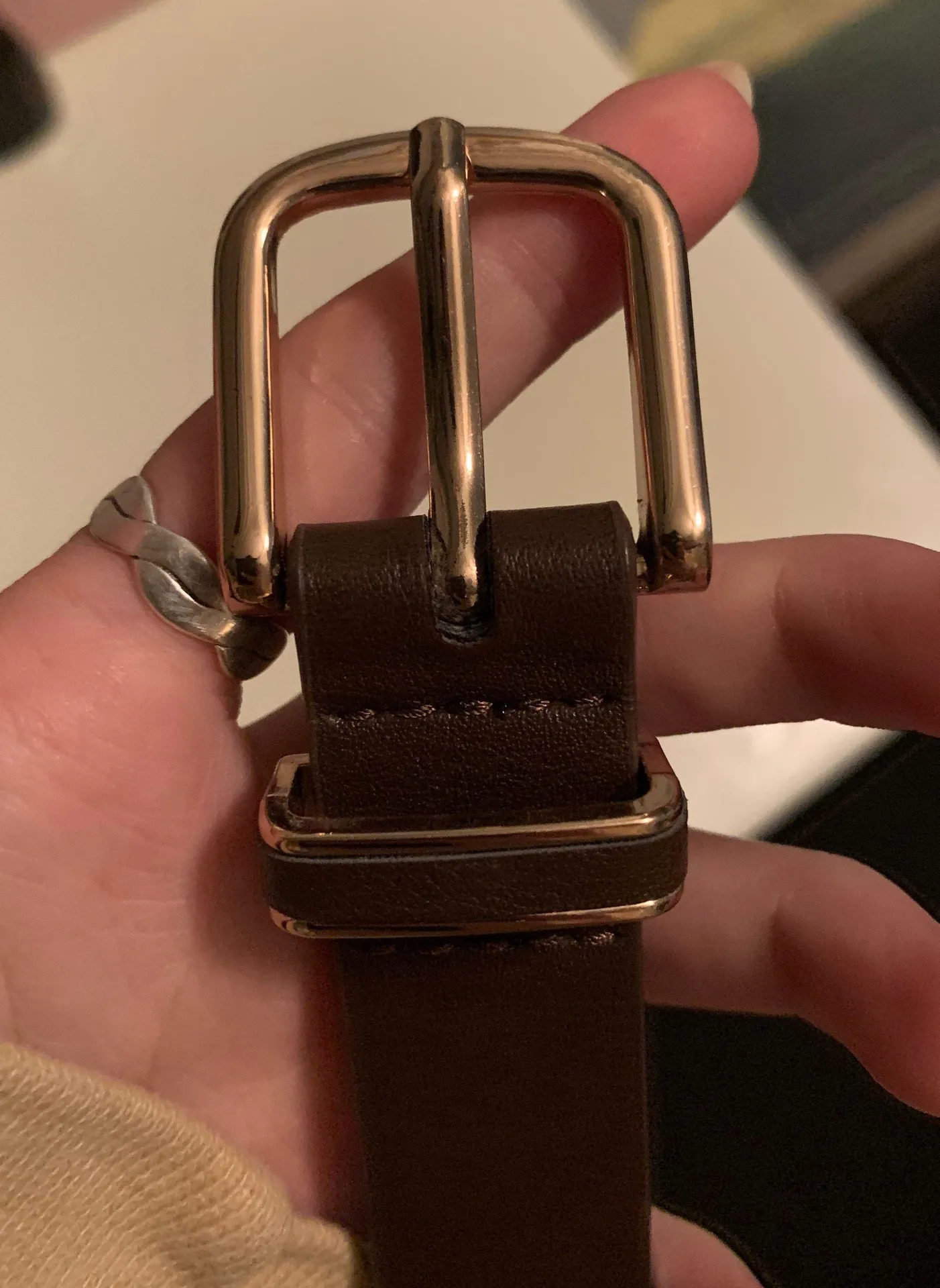 XS / S Brown Belt with Gold Buckle - Image 3