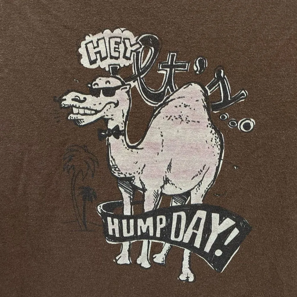 Hollister "Hey It's Hump Day" T-Shirt Brown - Image 2