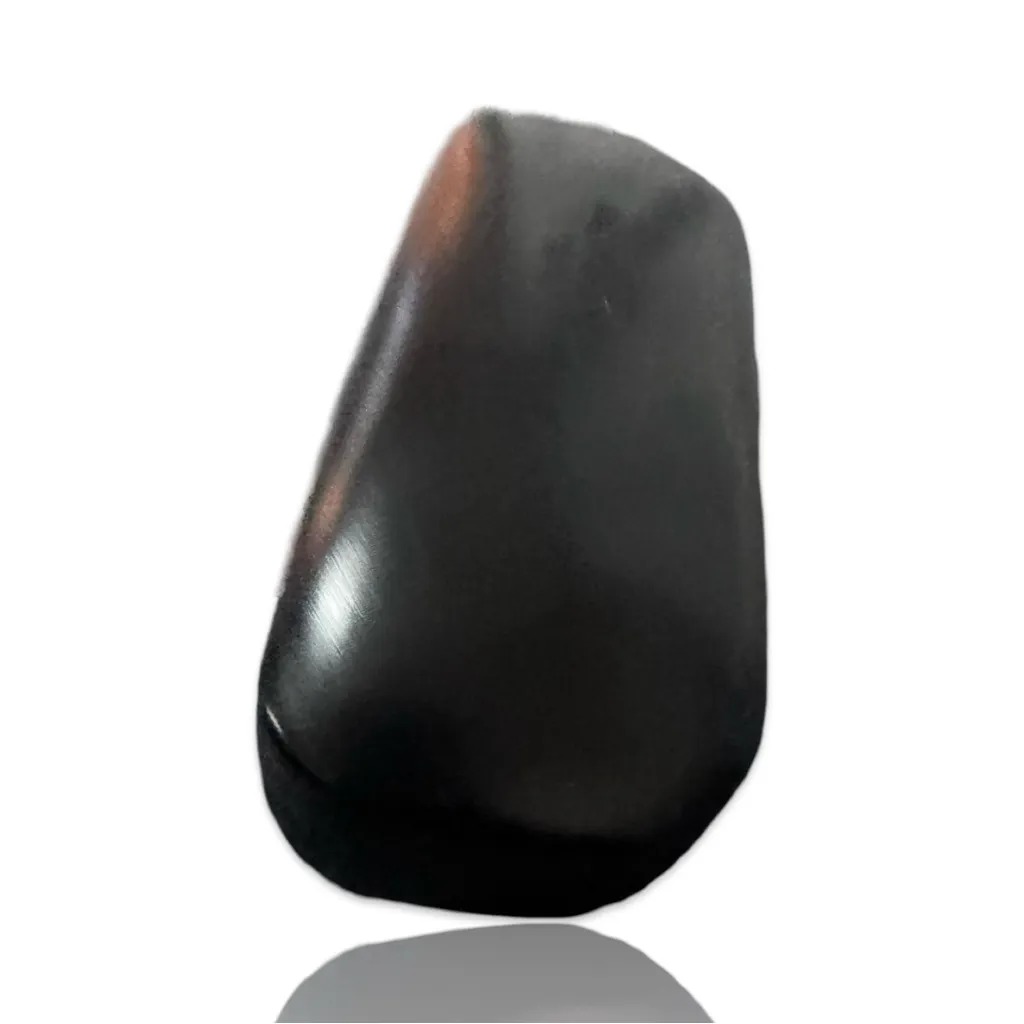 COACH Black Glasses Case Only - Image 3