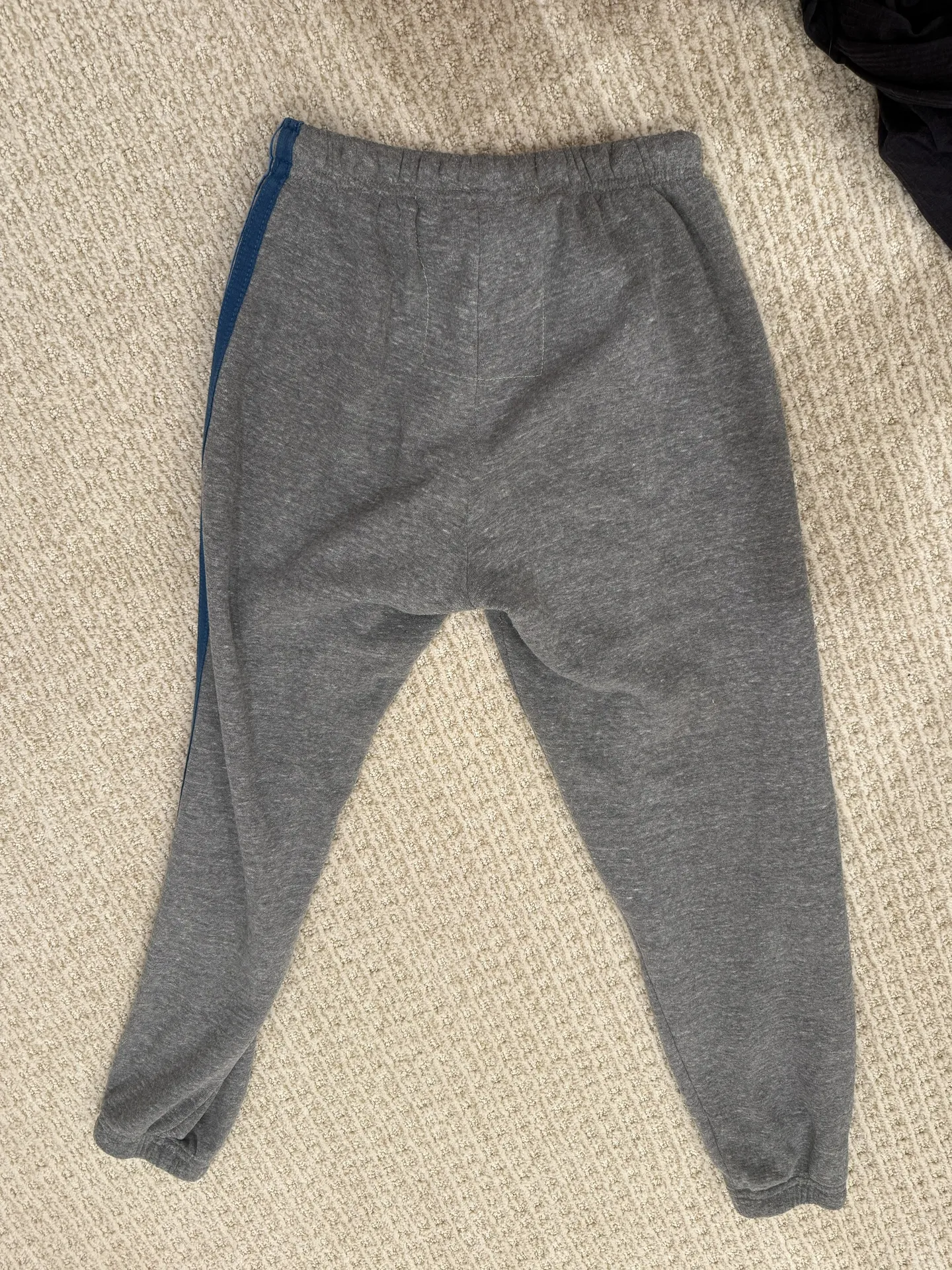 Grey Sweatpants With Blue Stripes - Image 3