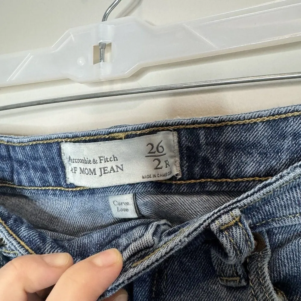 Abercrombie And Fitch Curve Love Mom Jean Distressed Size 26 2 Regular - Image 2
