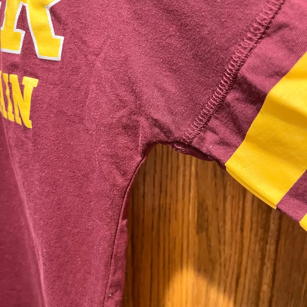 Harry Potter Quidditch Team Captain Gryffindor Cropped Long Sleeve - Image 5