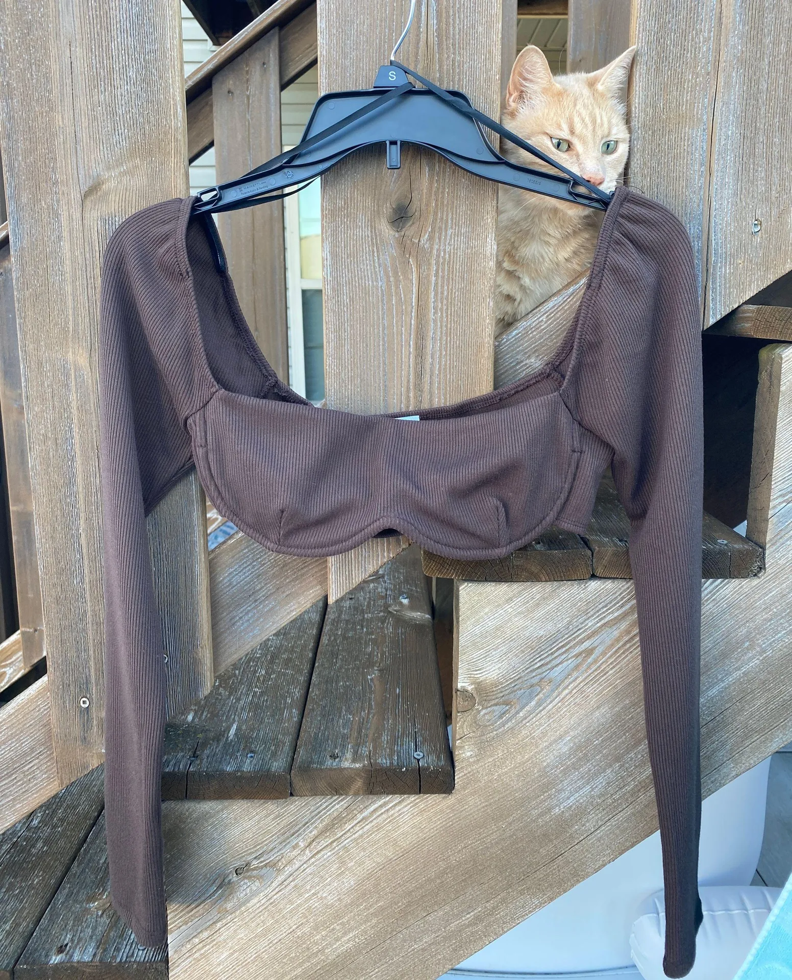 Princess Polly Becca Long Sleeve Crop Top Brown  - Image 2