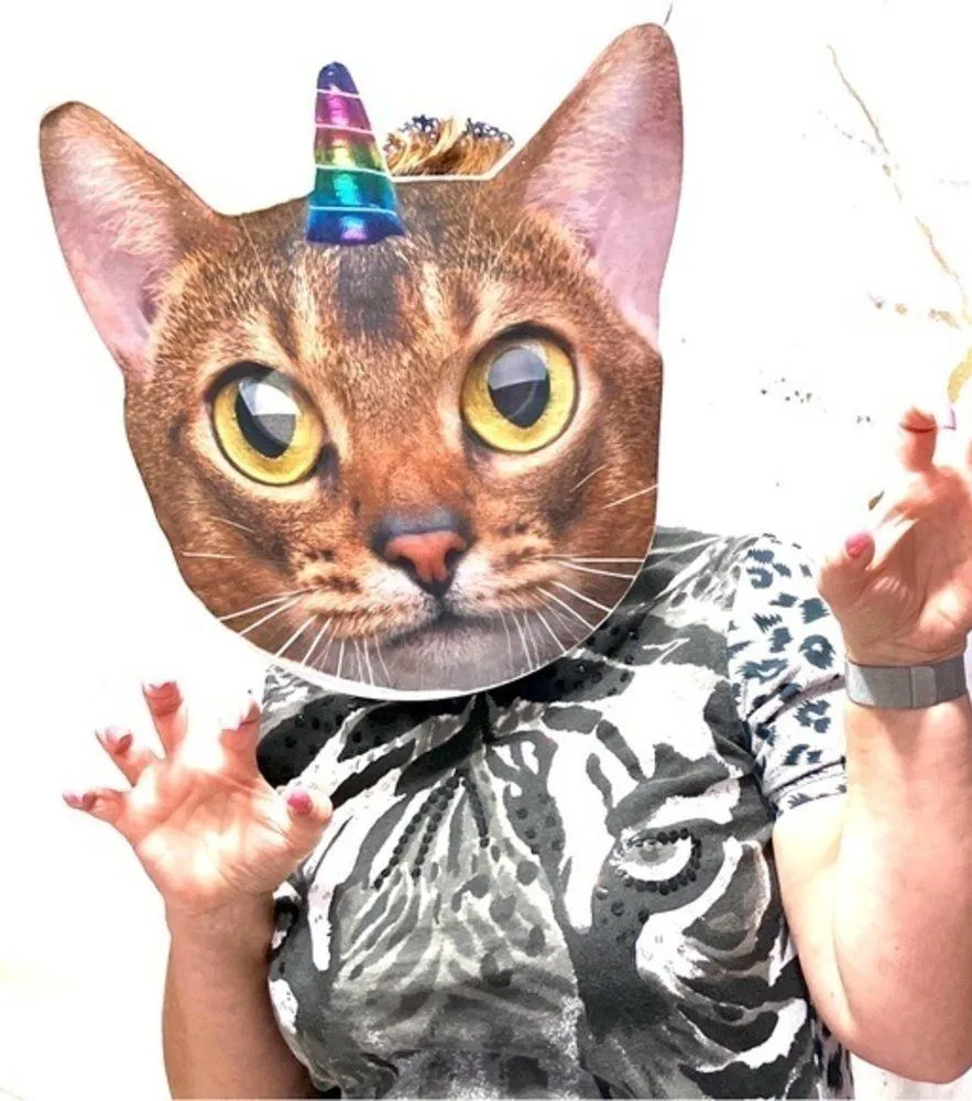 Zac & Rachel blouse animal print long sleeve blouse V Neck leopard Top Sz M Tan Size M - Image 7