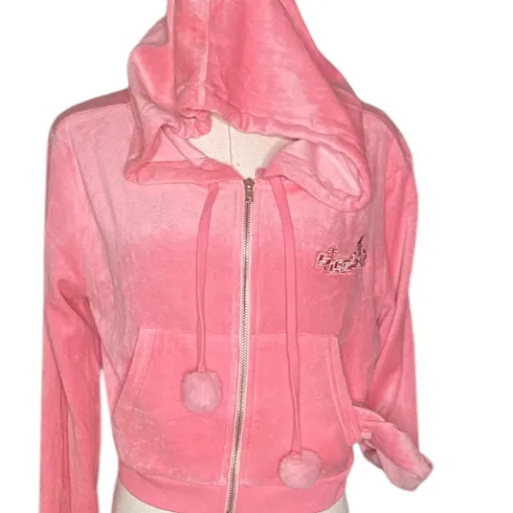 RARE SOLD OUT Dolls Kill x Powerpuff Girls Blossom Velour Hoodie Pink Y2K
L - Image 12