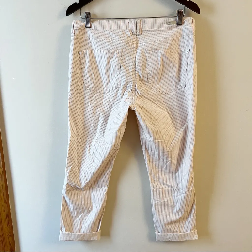 Anthropologie Pilcro and the Letterpress Blush Striped Cropped Pant Size 30 - Image 9