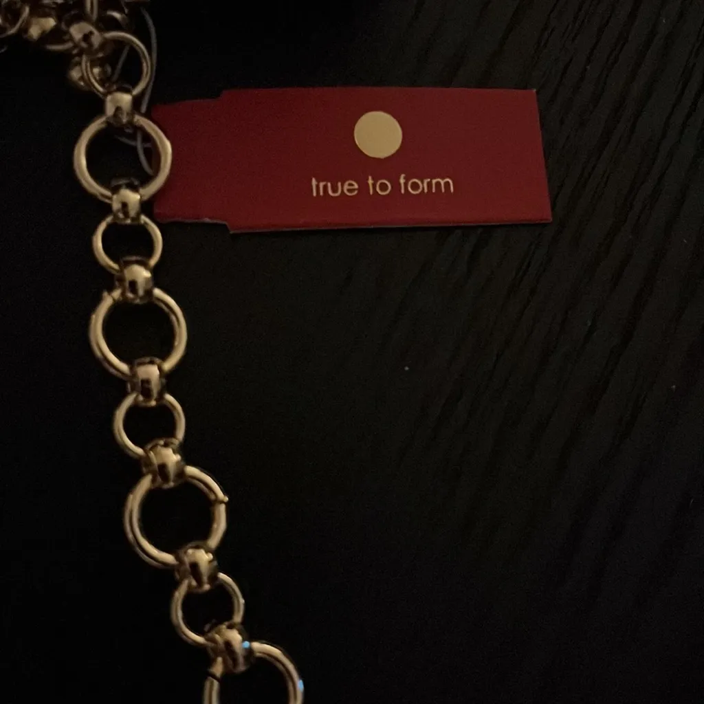 Gold tone necklace by true to form - Image 2