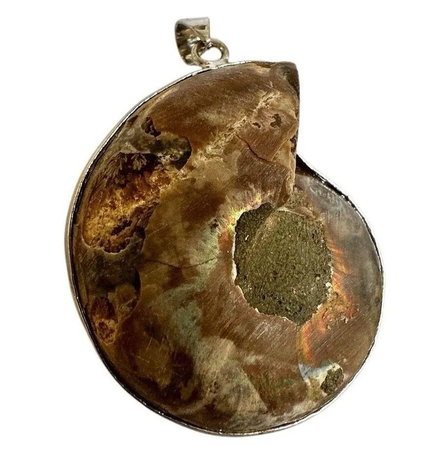 Silver tone Ammonite nautiloid fossil pendant - Image 2