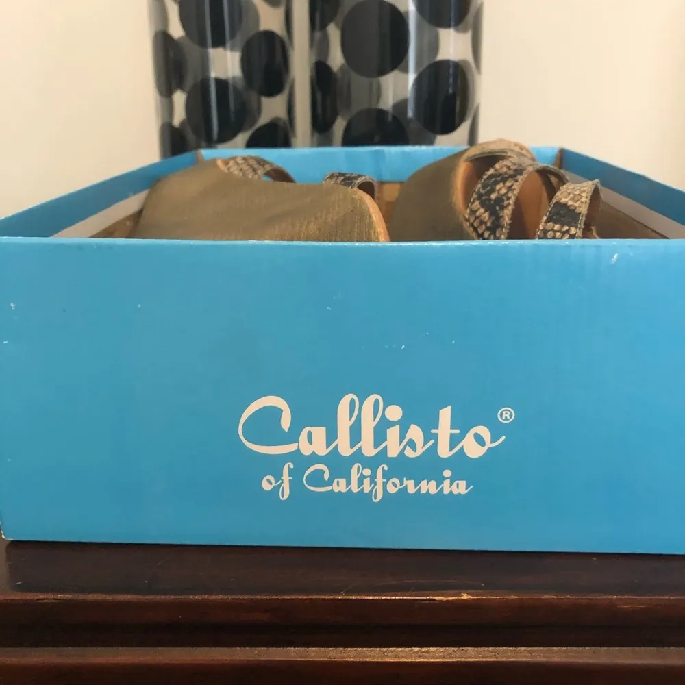 Callisto of California || Animal print wedges Size 10 - Image 3