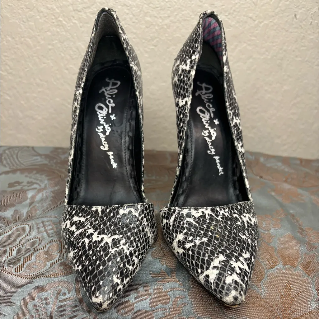 Alice and Olivia Black and White Snakeskin Stiletto Pointed Toe Heel Size 37 - Image 2
