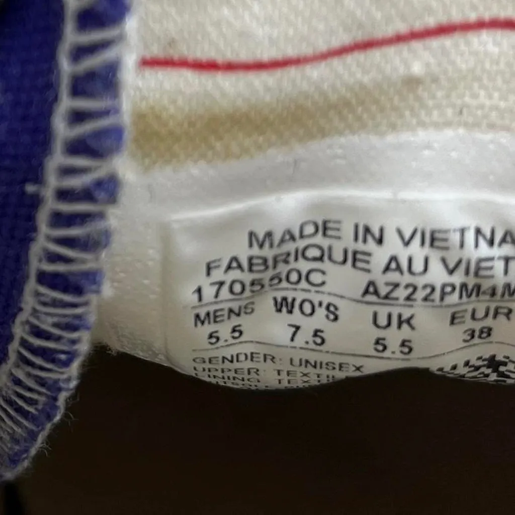 Converse Chuck Taylor All Star 70 Hi purple Unisex sneaker Candy Grape Egret - Image 6