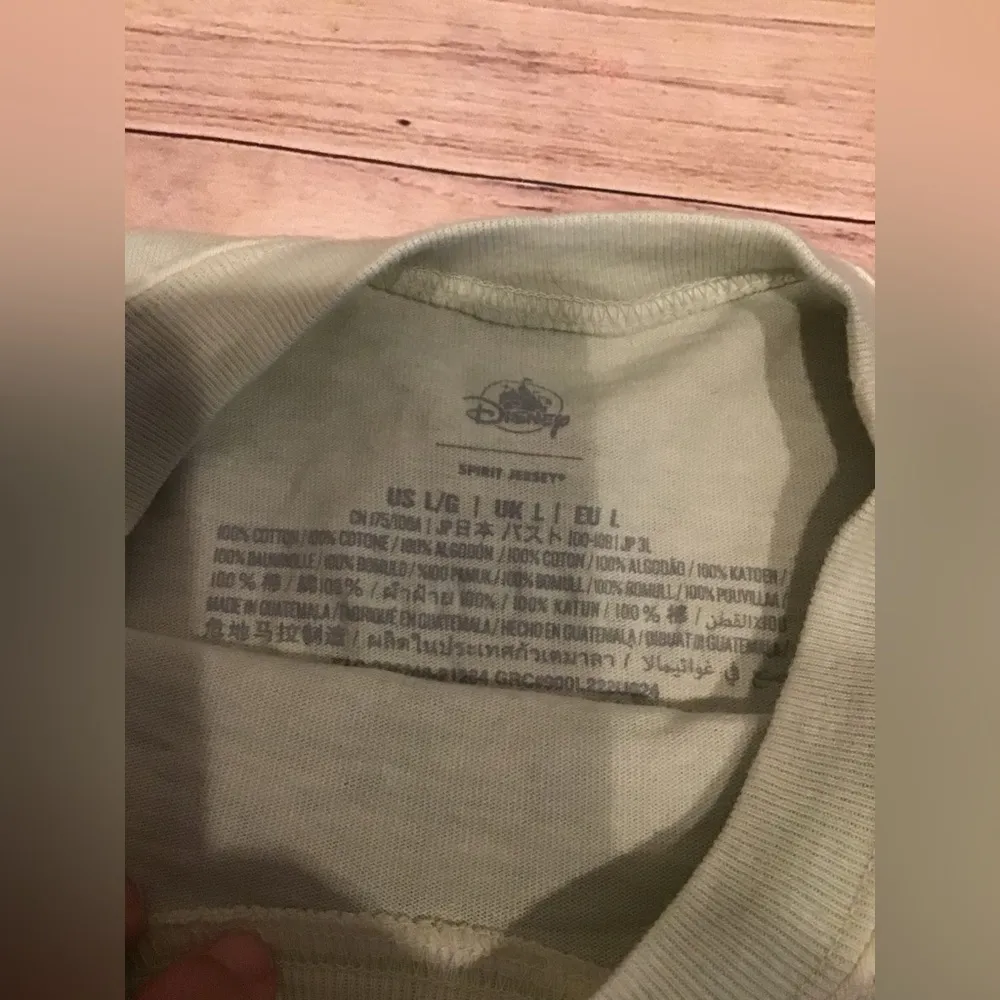 Disney parks 2022 Epcot international flower & garden festival spirit jersey L - Image 4