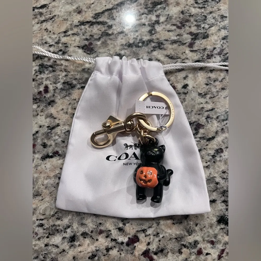 Coach NWT 2024 Halloween Black Cat with Pumpkin Key Chain / Bag Charm CW480 - Image 4