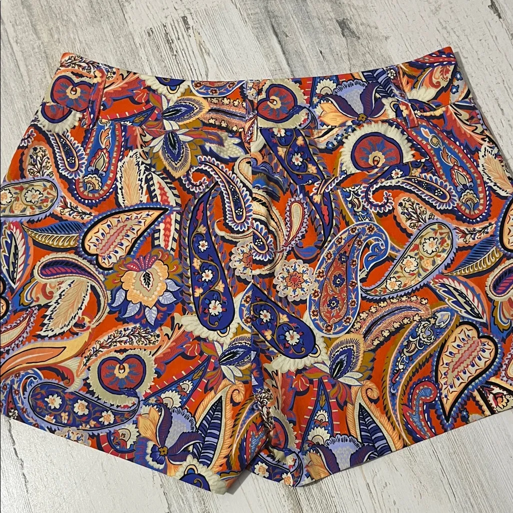 DREW Paisley Print Women's Shorts size 2 - Image 4