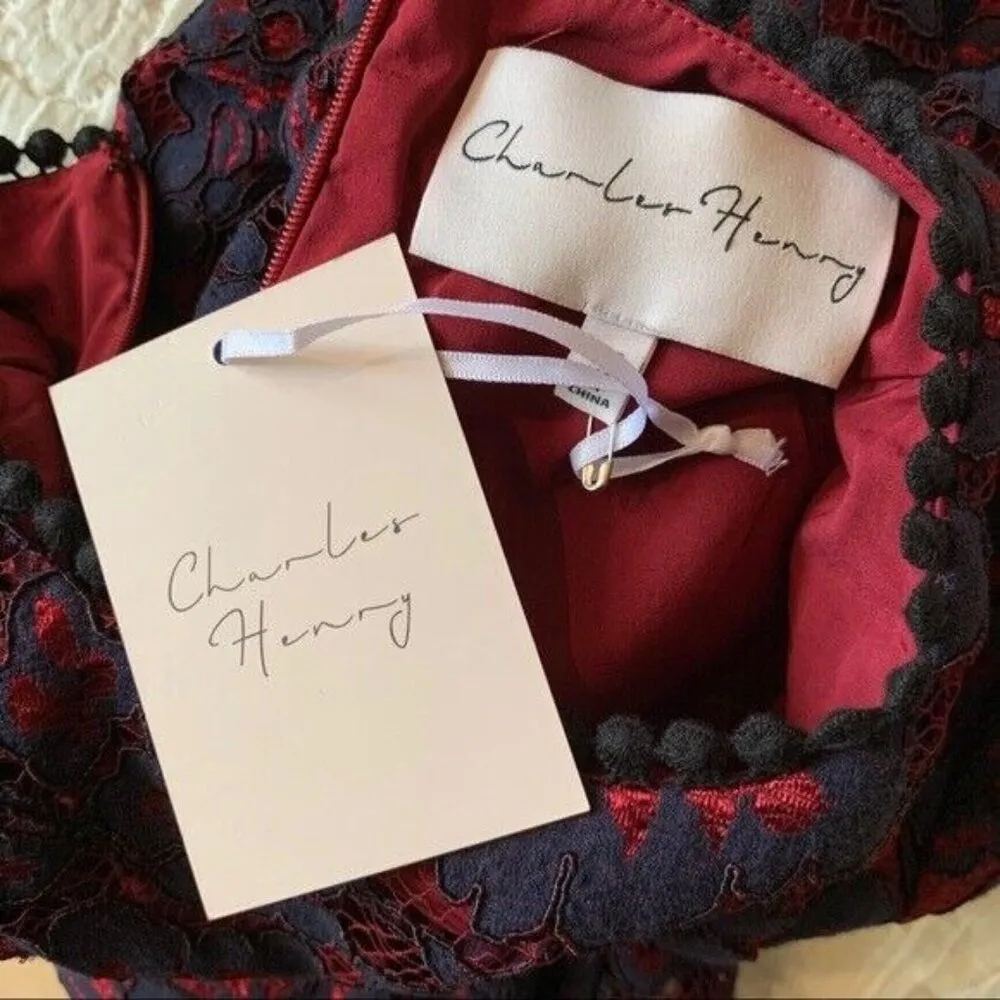 NWT Charles Henry Nordstrom Lace Sheath Dress Navy and Red size XS - Image 12