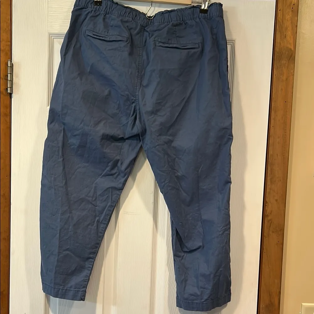 Architect Blue Capris with Tapered Design Size undefined - Image 3