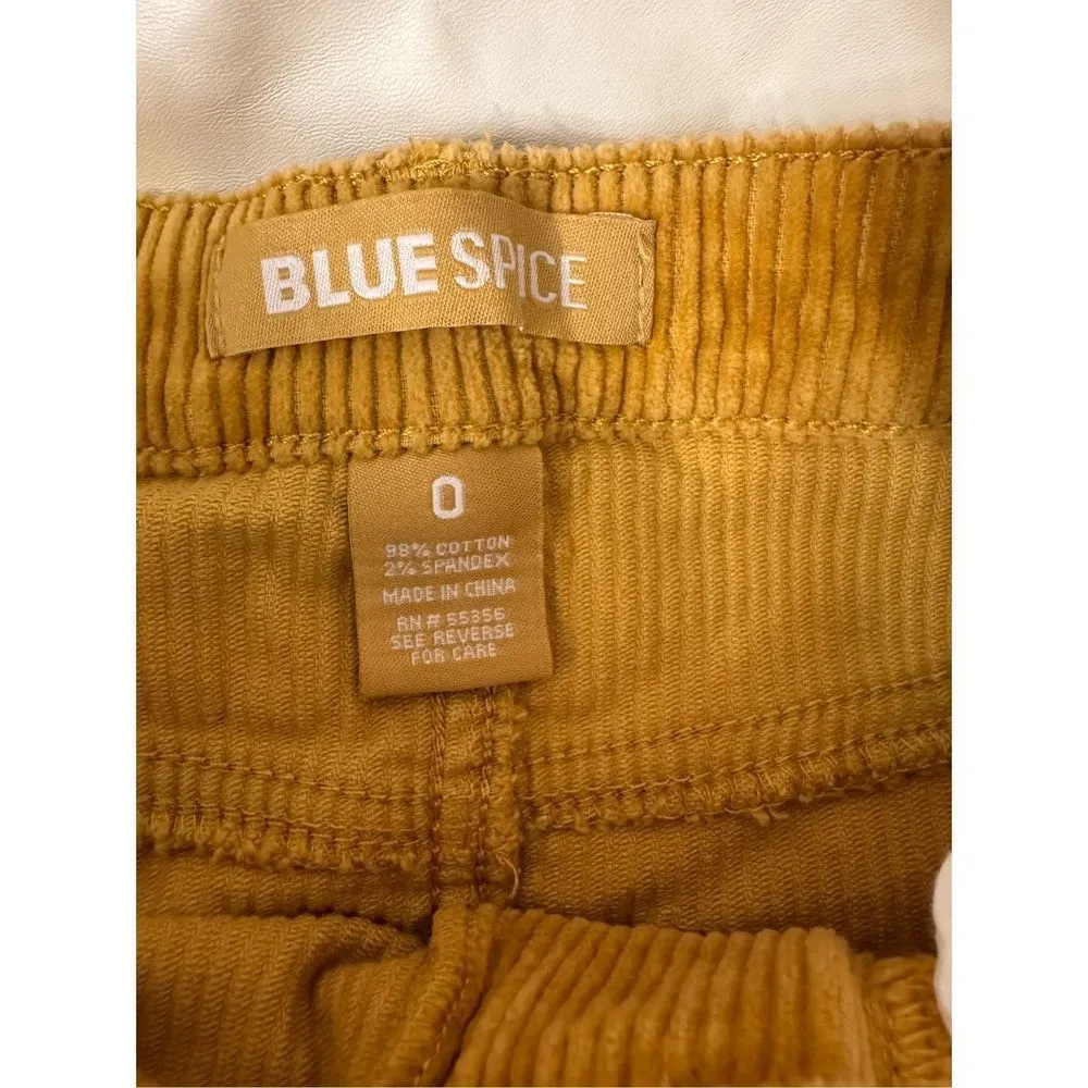 Blue spice velvet gold skirt size 0 - Image 3