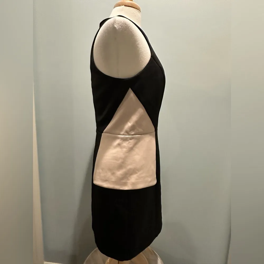 Walter Baker W118 black/nude Starr dress zipper detail size Large New with tags - Image 8