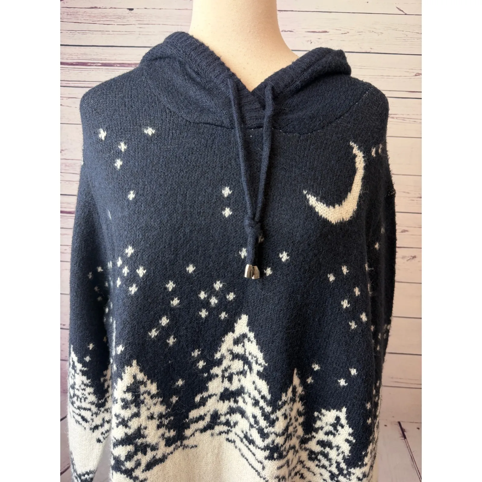 Cupcakes and Cashmere Plus size 2X Hoodie Sweater Holiday Winter Moon Pullover - Image 10
