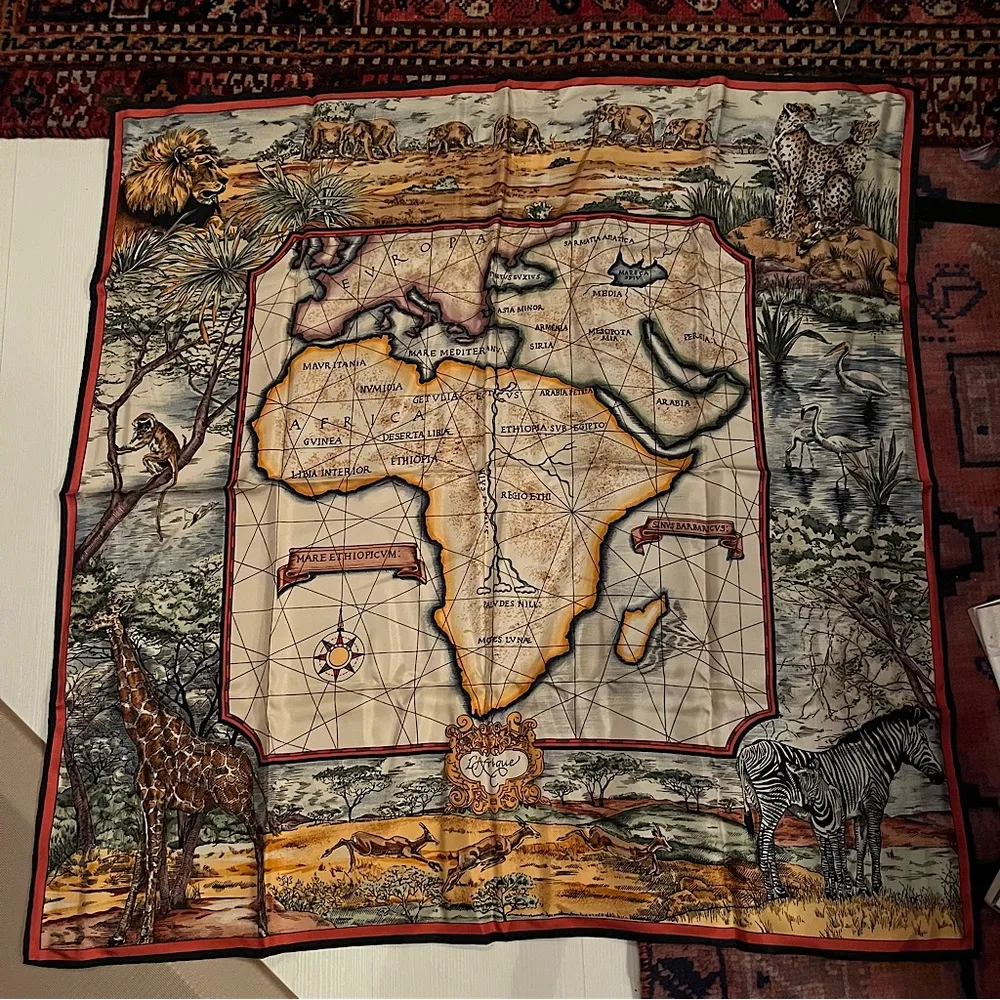 NEW Wathne silk scarf Africa map Red - Image 10