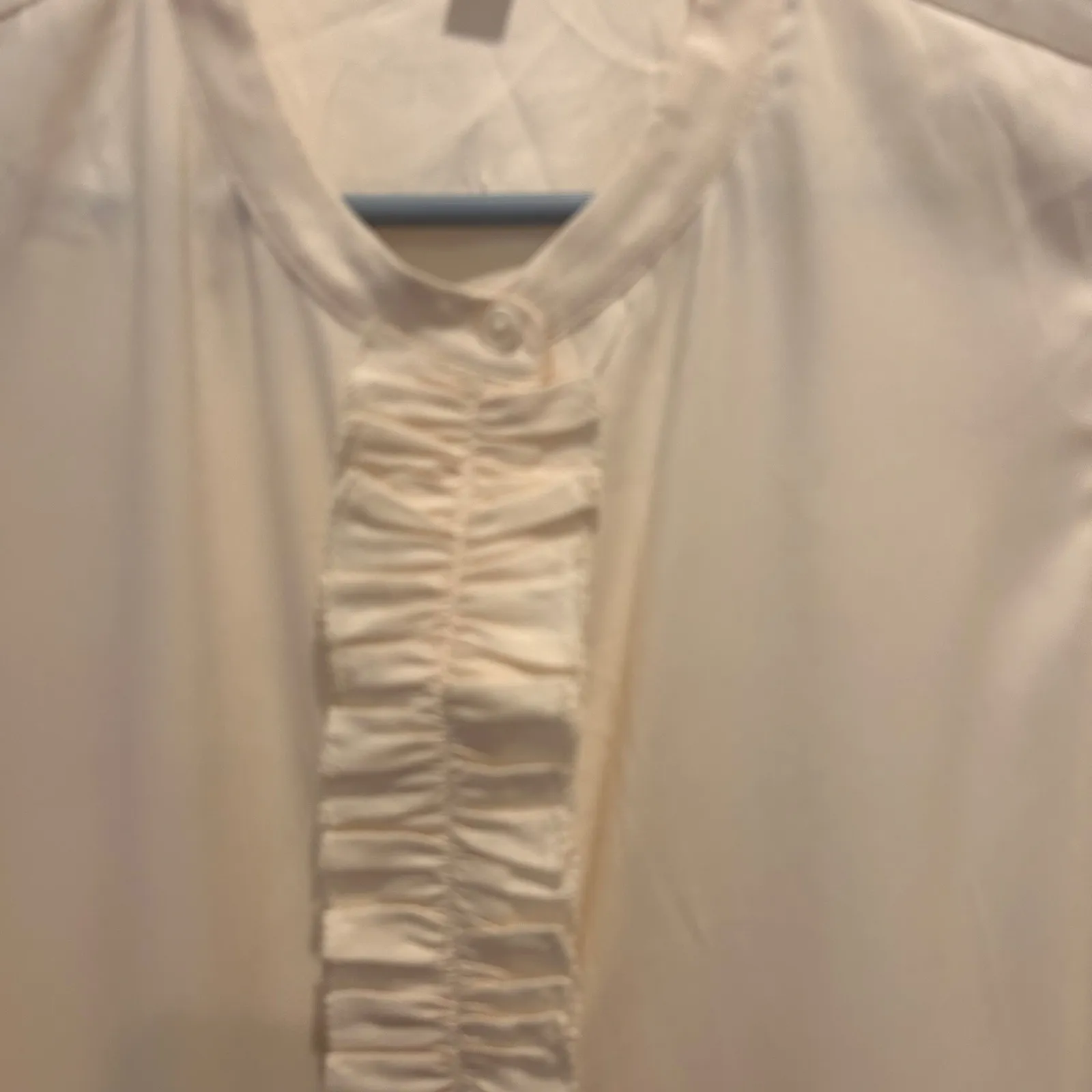 Ann Taylor Womens Sleeveless Button Front Ruffle Front Blouse Cream Large Career - Image 2