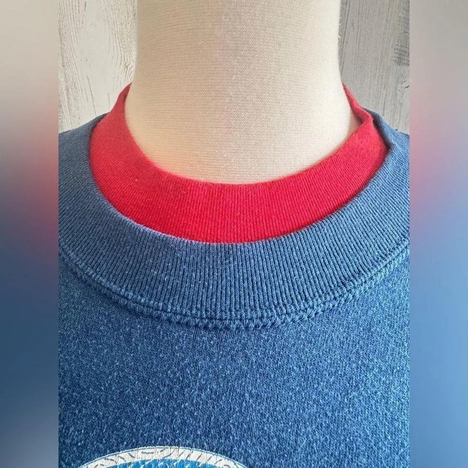 Vintage fall scarecrow sweatshirt made in USA 2X fall pumpkins cat see photos Blue Size XXL - Image 3