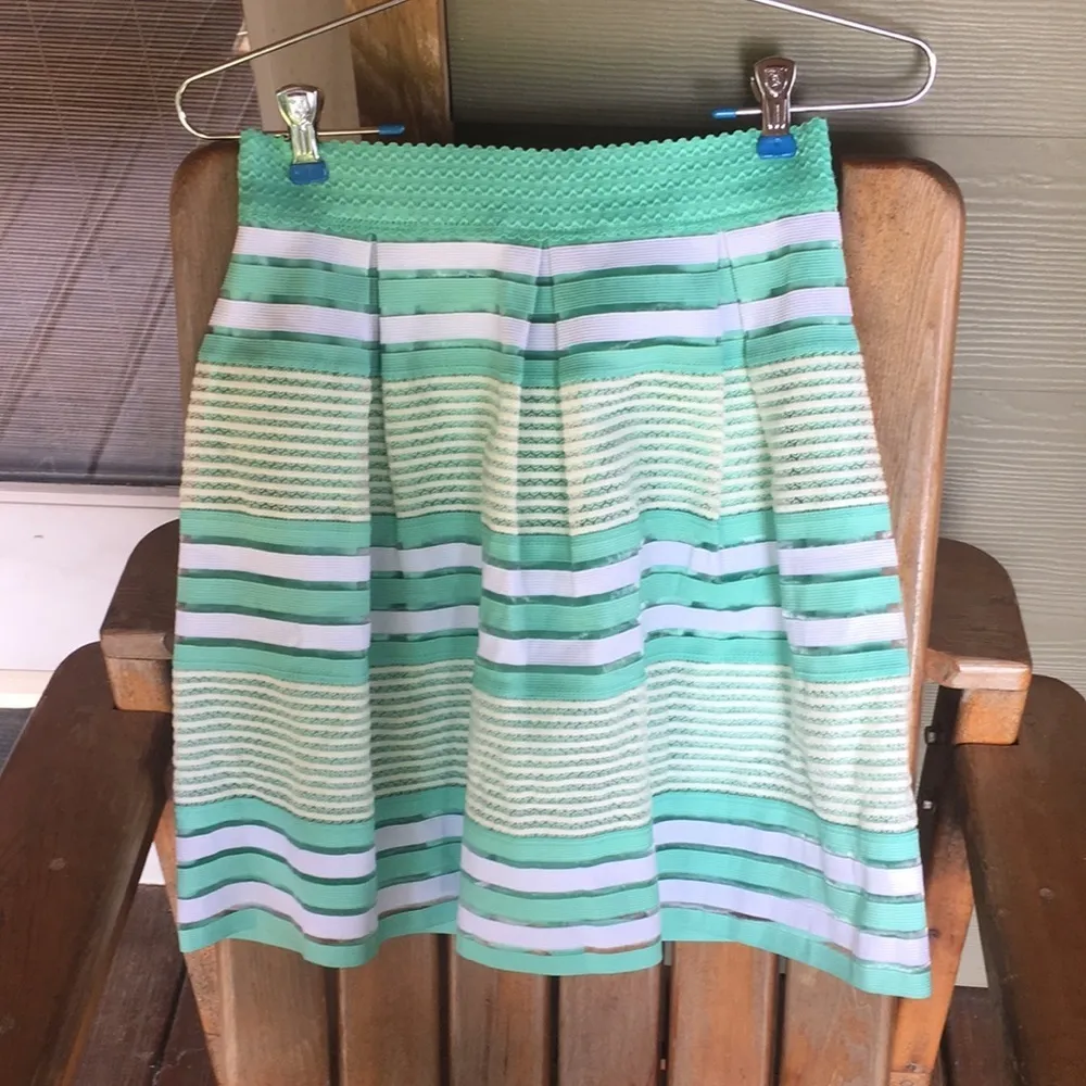 Alya Mint Green Striped Skirt - Image 7