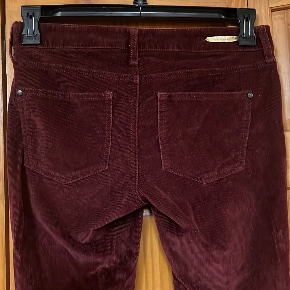 Anthropologie / Pilcro and the Letterpress “Stet” Corded Pants - Image 4