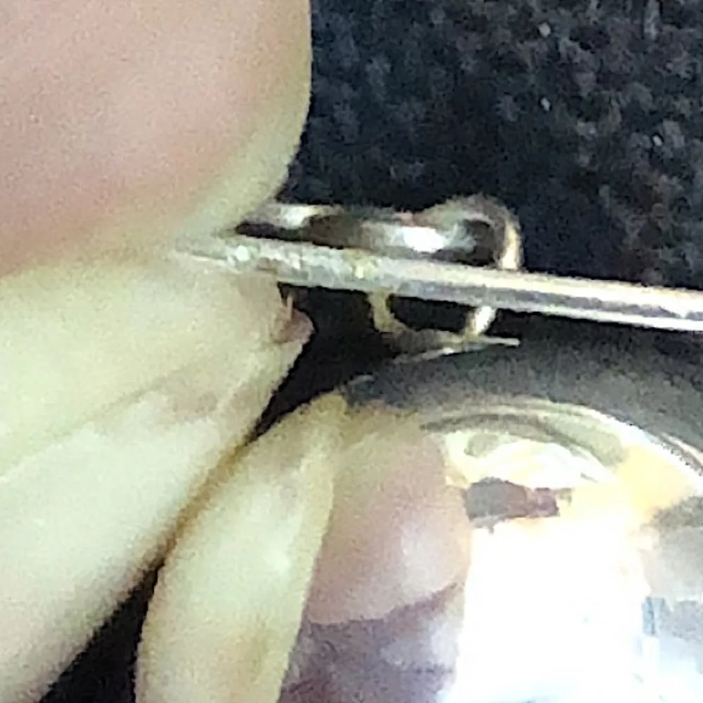 SIMON SEBBAG Sterling Silver Hammered Turtle Shell Agate Drop Dangle Earrings - Image 7