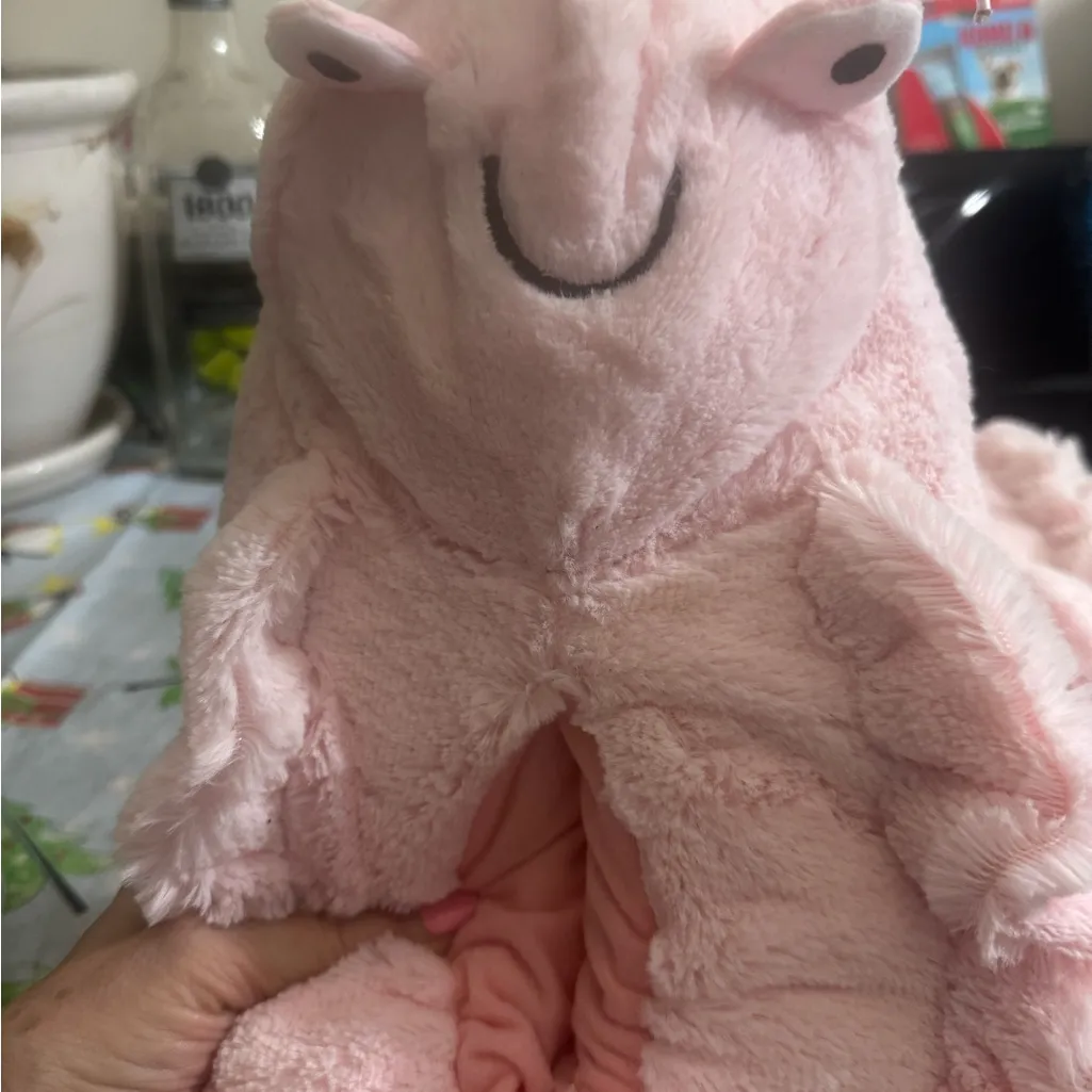 Plush Pink Cozy Frog Slippers Sz 8M Women Teens Tweens NWOT Unbranded - Image 4