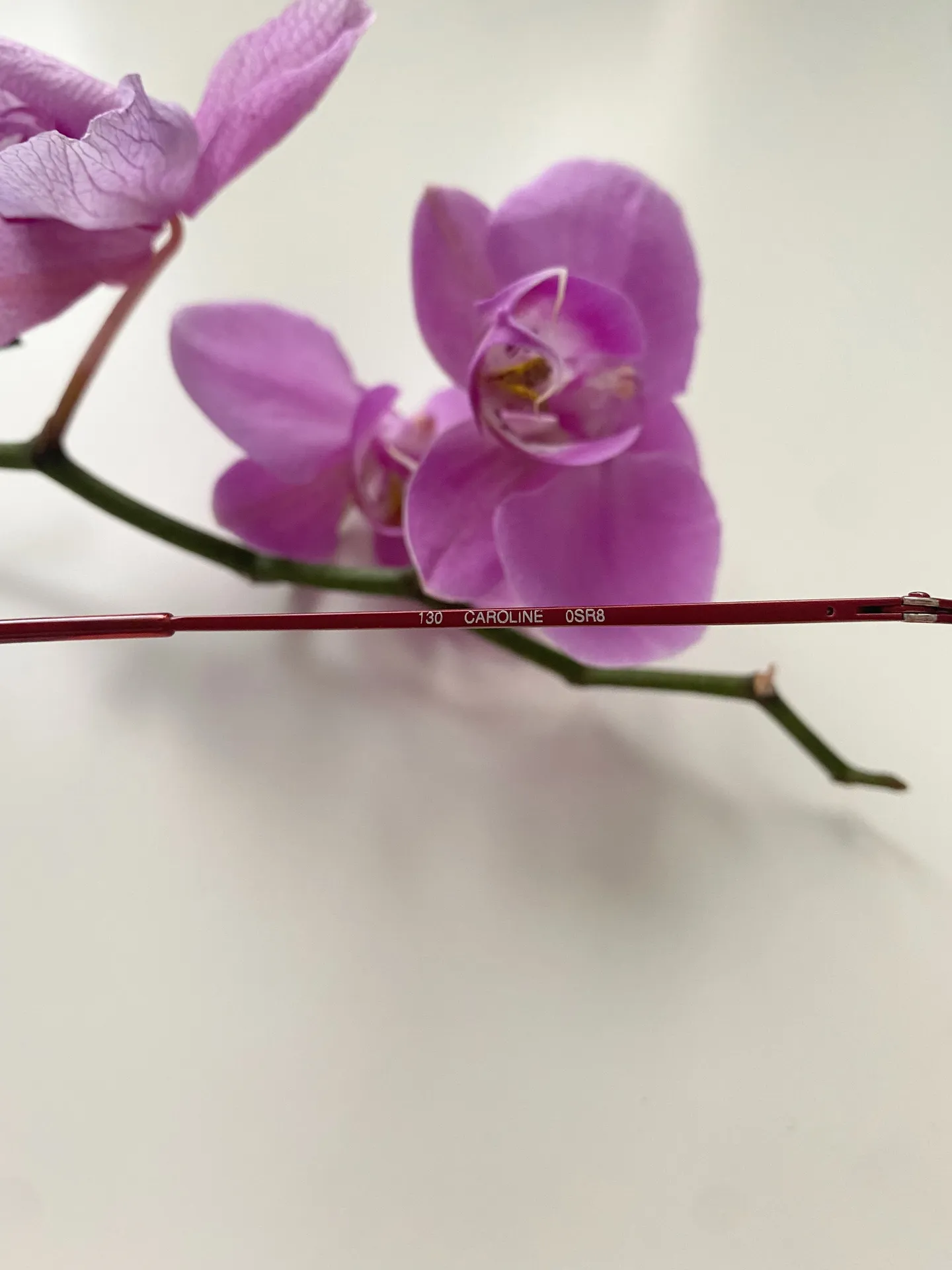 Glasses 💜 - Image 5