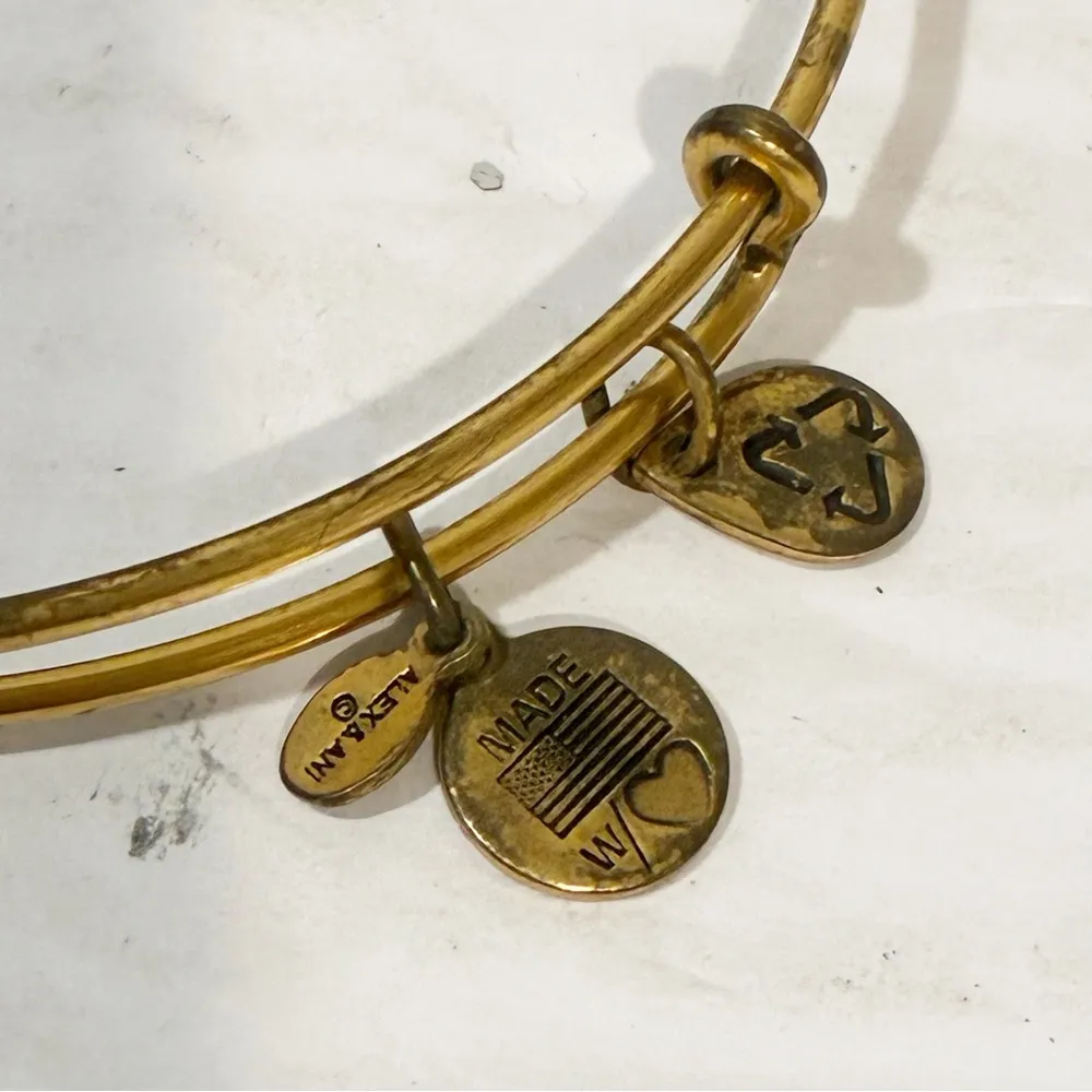 Alex And Ani Quill Feather Rafaelian Gold Finish Adjustable Bangle Bracelet - Image 2