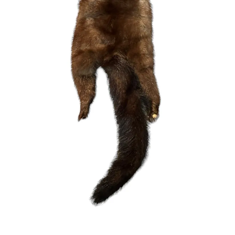 TANNED MINK PELT 29” Scarf Drape Stole Wrap Collar Natural Leather Taxidermy Brown - Image 12