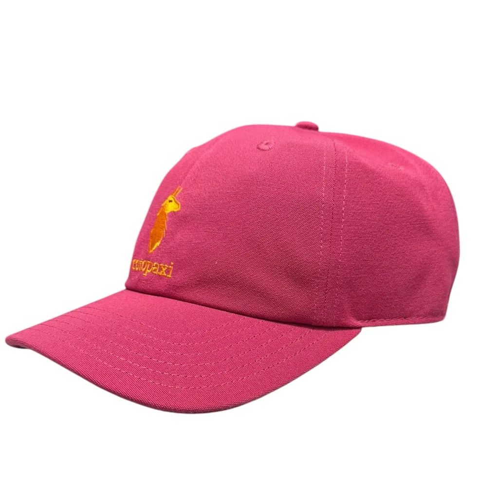 COTOPAXI Dad Trucker Hat Raspberry $35 Retail NWT - Image 6