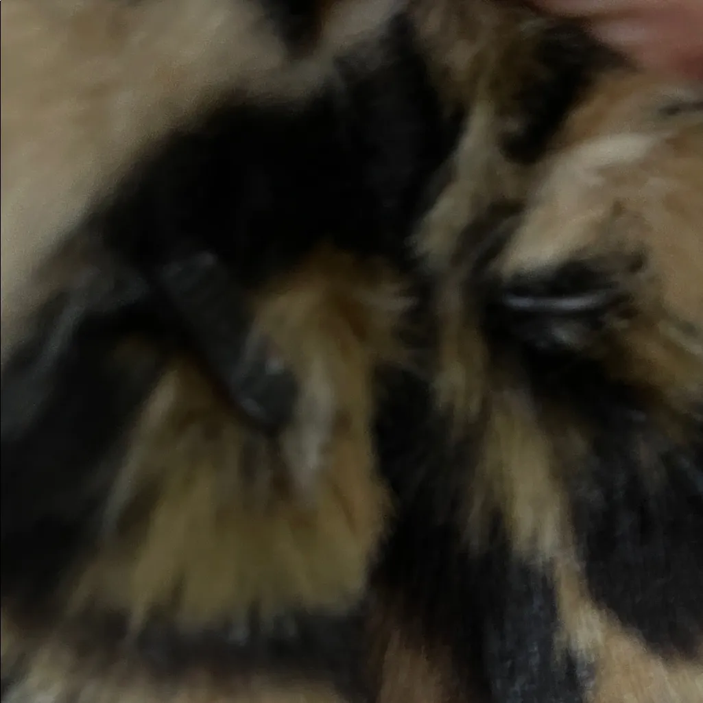 Dennis Basso Platinum Chic Leopard Print Faux Fur Coat 2X - Image 6