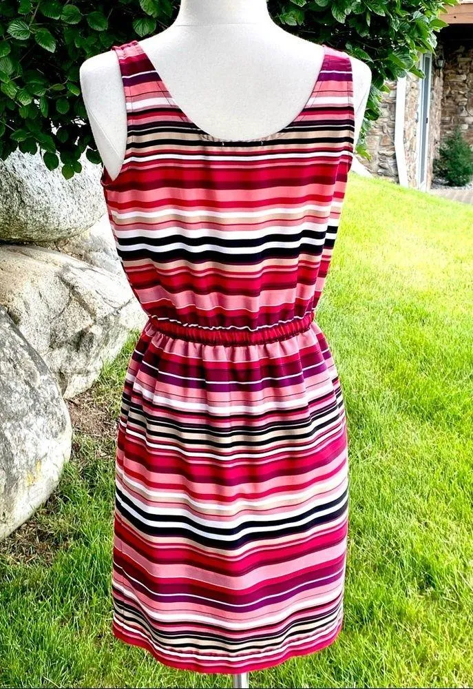 Ann Taylor Loft Sleeveless Dress - Image 5