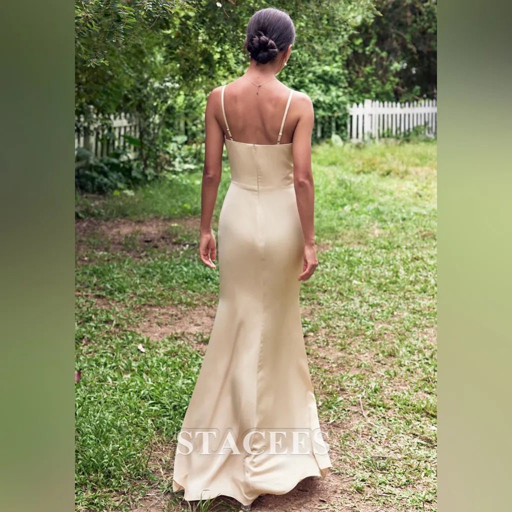 STACEES Sheath/Column V Neck Sleeveless Floor - Image 2