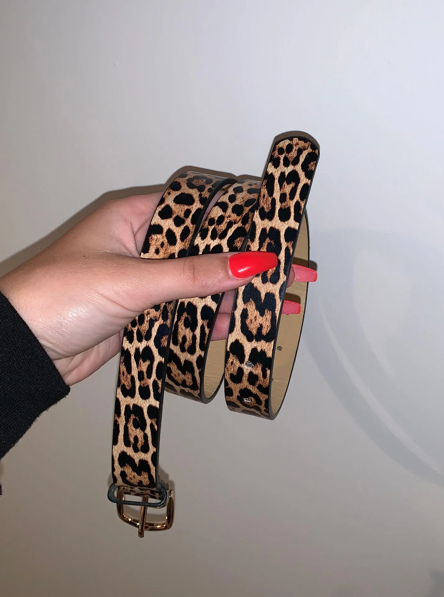 Leopard Belt Multi - Image 2