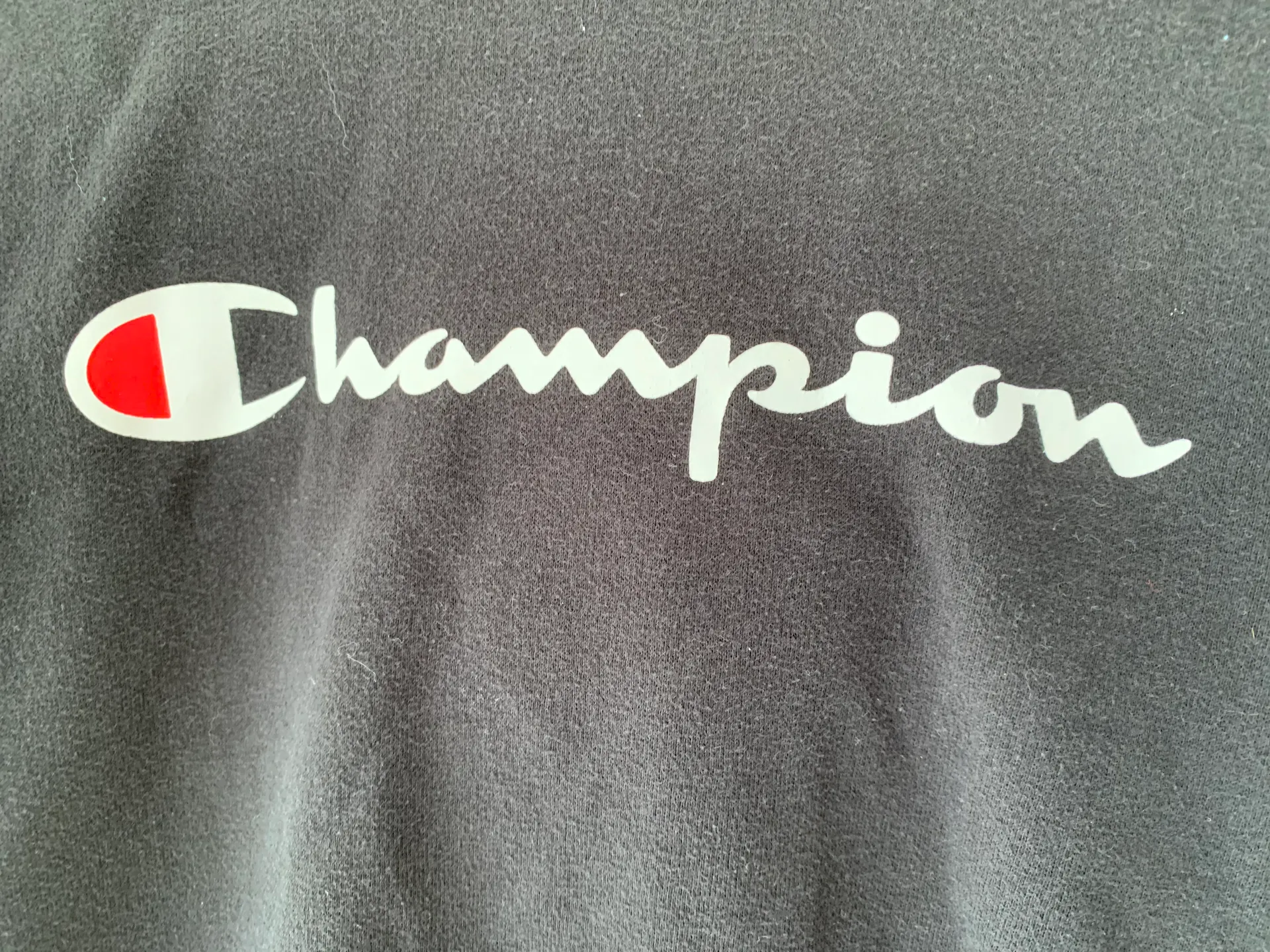 Champion Hoddie - Image 3