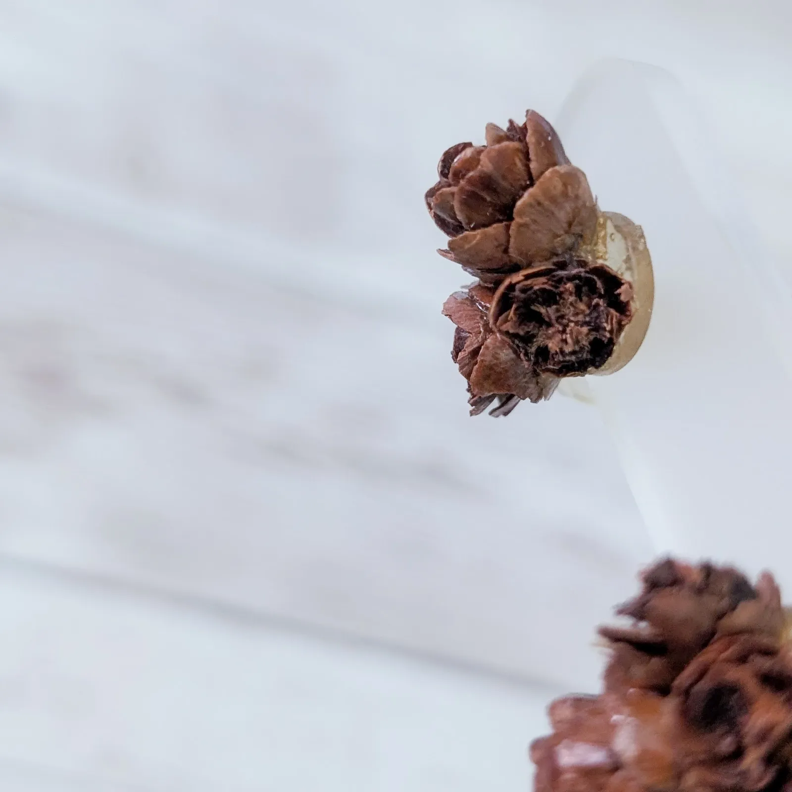 Vintage Screw Back Earrings Brown Natural Vibes Boho - Image 6