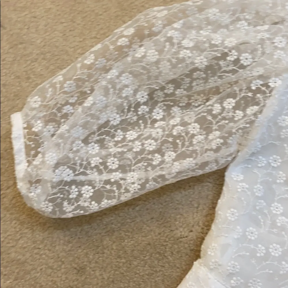 Zara see through cropped top. S - Image 4