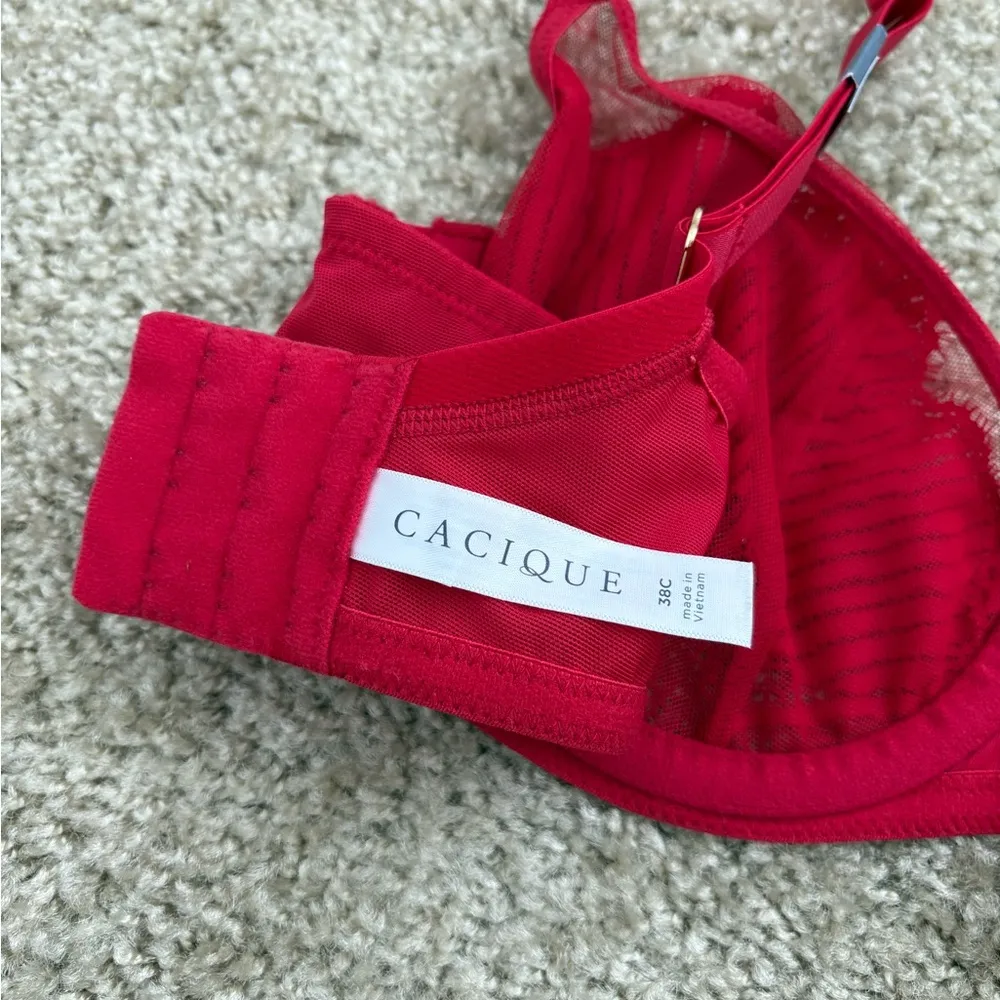 NWT Cacique Unlined Balconette Mesh Metallic Bra Sz 38C - Image 5