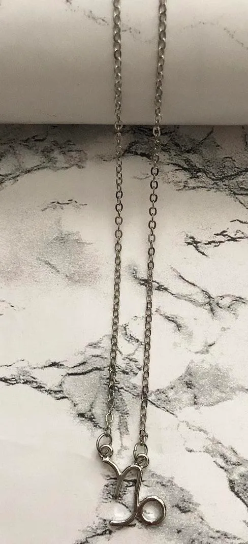 Capricorn Horoscope Sign Charm Pendant Necklace Silver - Image 4