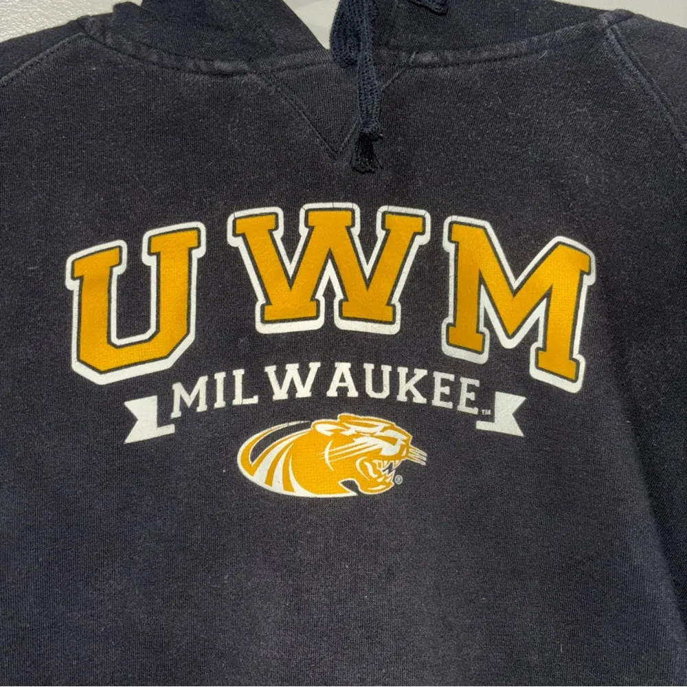 Champion Black UWM Panthers Hoodie - Image 2