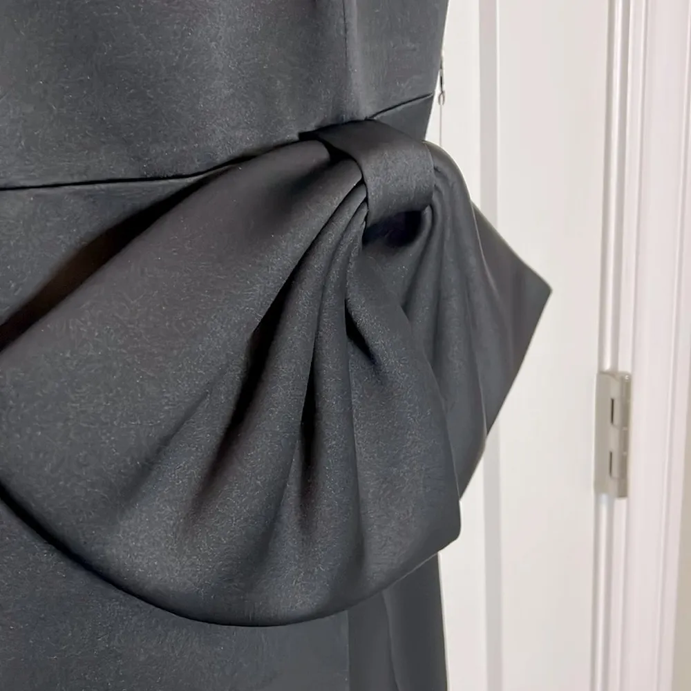 NWT  Kings Strapless Jumpsuit with Bow Waist Overskirt - Image 3