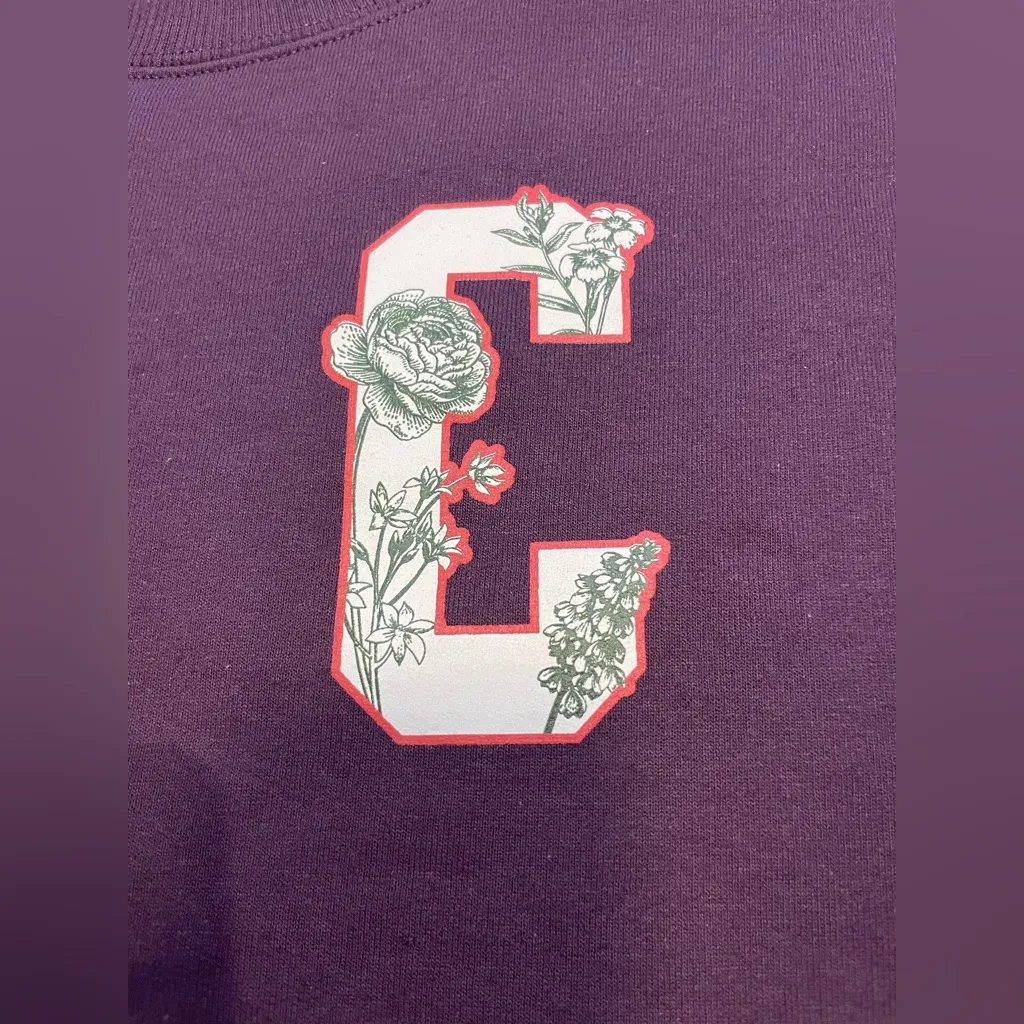 Champion Women's Crew Neck Long Sleeve Plum / Purple Sweatshirt Small‎ - Image 3