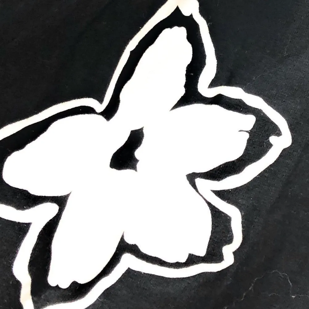 Adrienne‎ Vittadini Shorts - Image 3