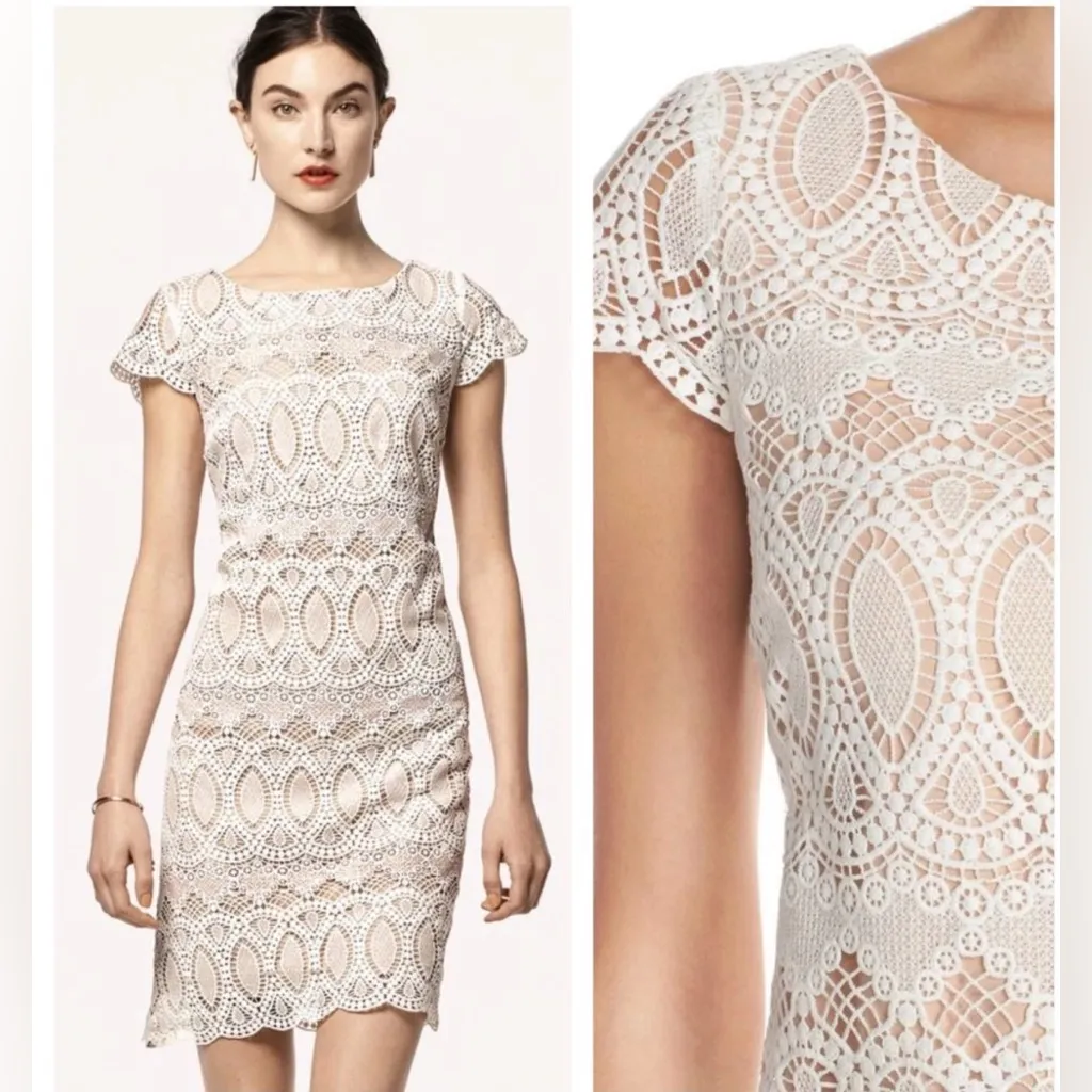 ELIZA J  SEXY CHIC CROCHET LACE SCALLOPED SHEATH    DRESS Sz 10 retail $ 148 - Image 2