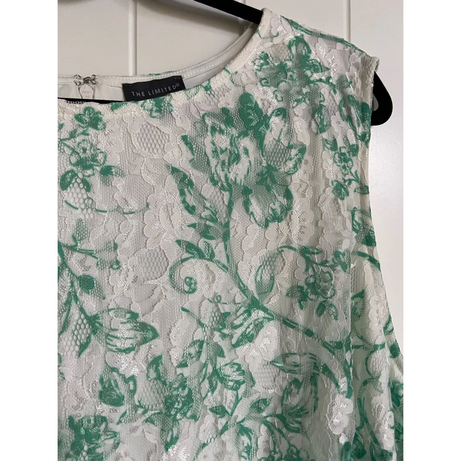 The Limited Womens Dress Size 2X Green Cream Floral Lace Shift Cottage Gate‎ NEW - Image 5