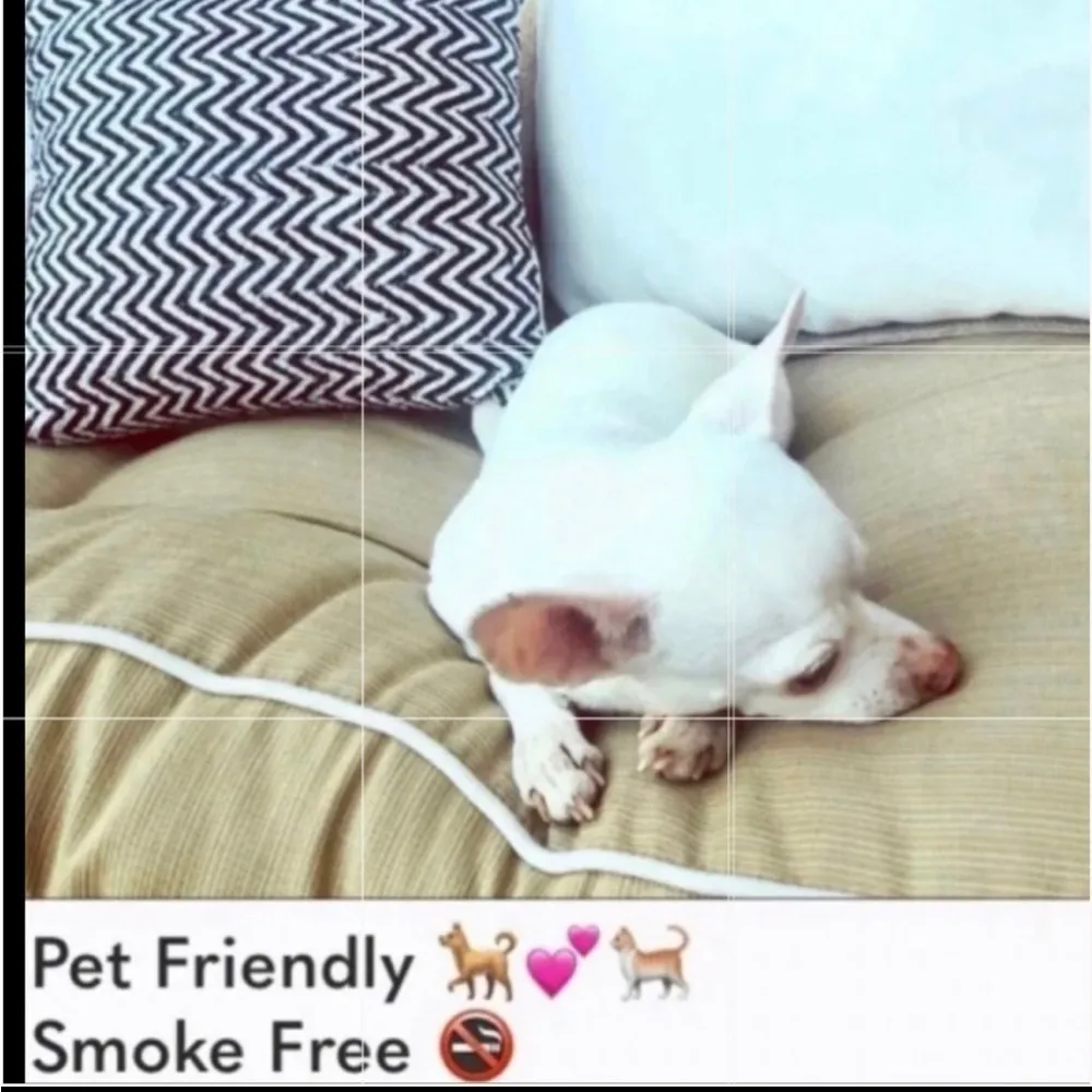 L*Space Pink Bougainvillea Bikini bottom with color block bandeau - worn 1 time - Image 12